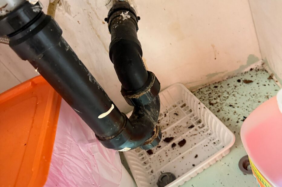 52210102-7dd2-477b-ac98-c1b0cd9d03cc